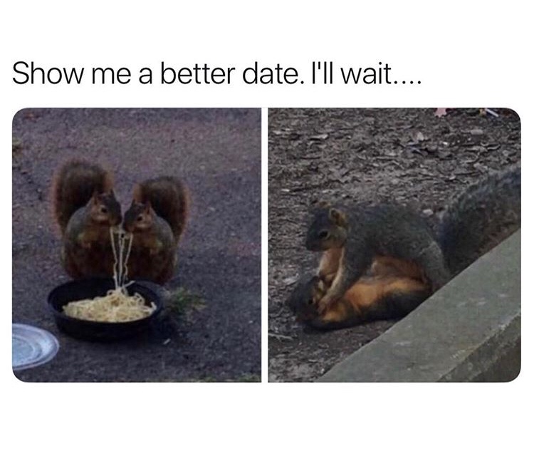memes - show me a better date i ll wait - Show me a better date. I'll wait....