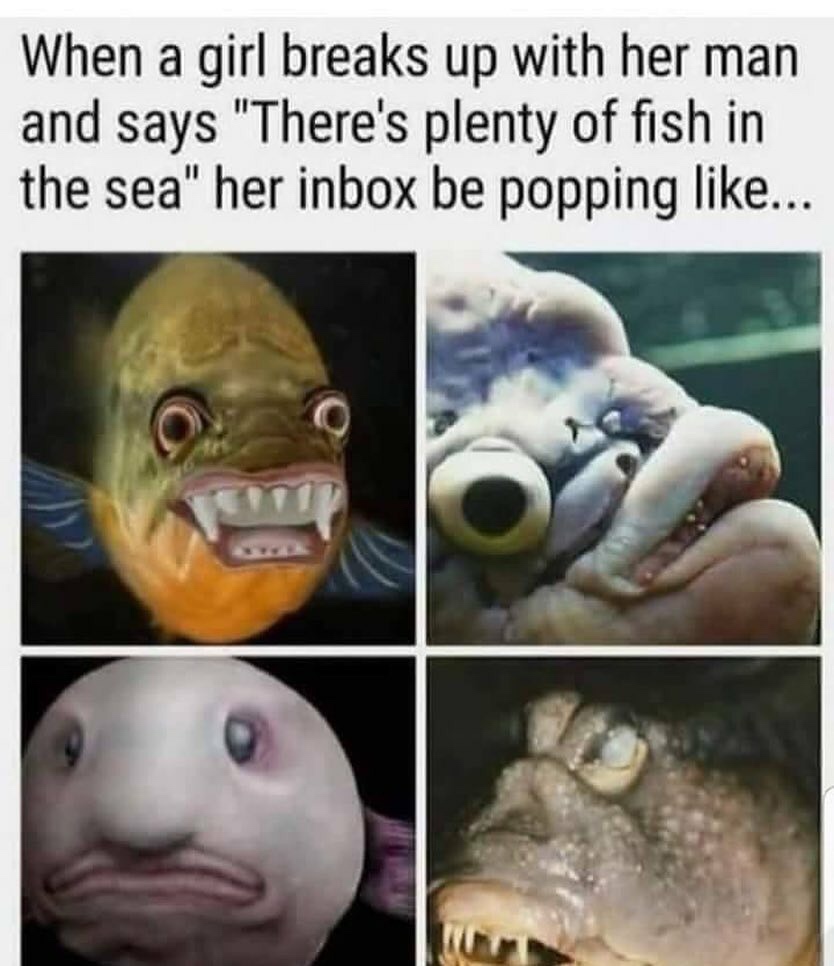 memes - meme fish in the sea - When a girl breaks up with her man and says "There's plenty of fish in the sea" her inbox be popping ...