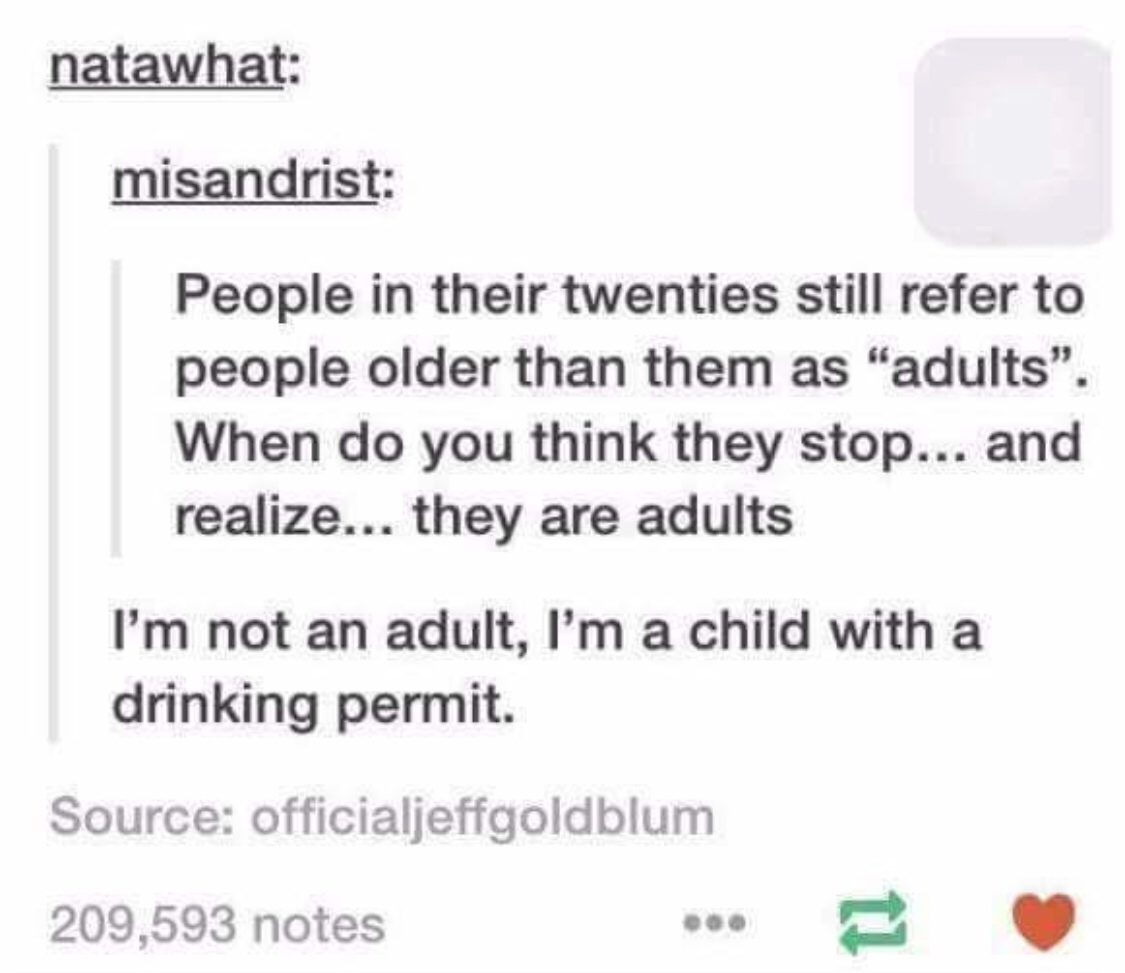 memes - child with a drinking permit - natawhat misandrist People in their twenties still refer to people older than them as "adults". When do you think they stop... and realize... they are adults I'm not an adult, I'm a child with a drinking permit. Sour