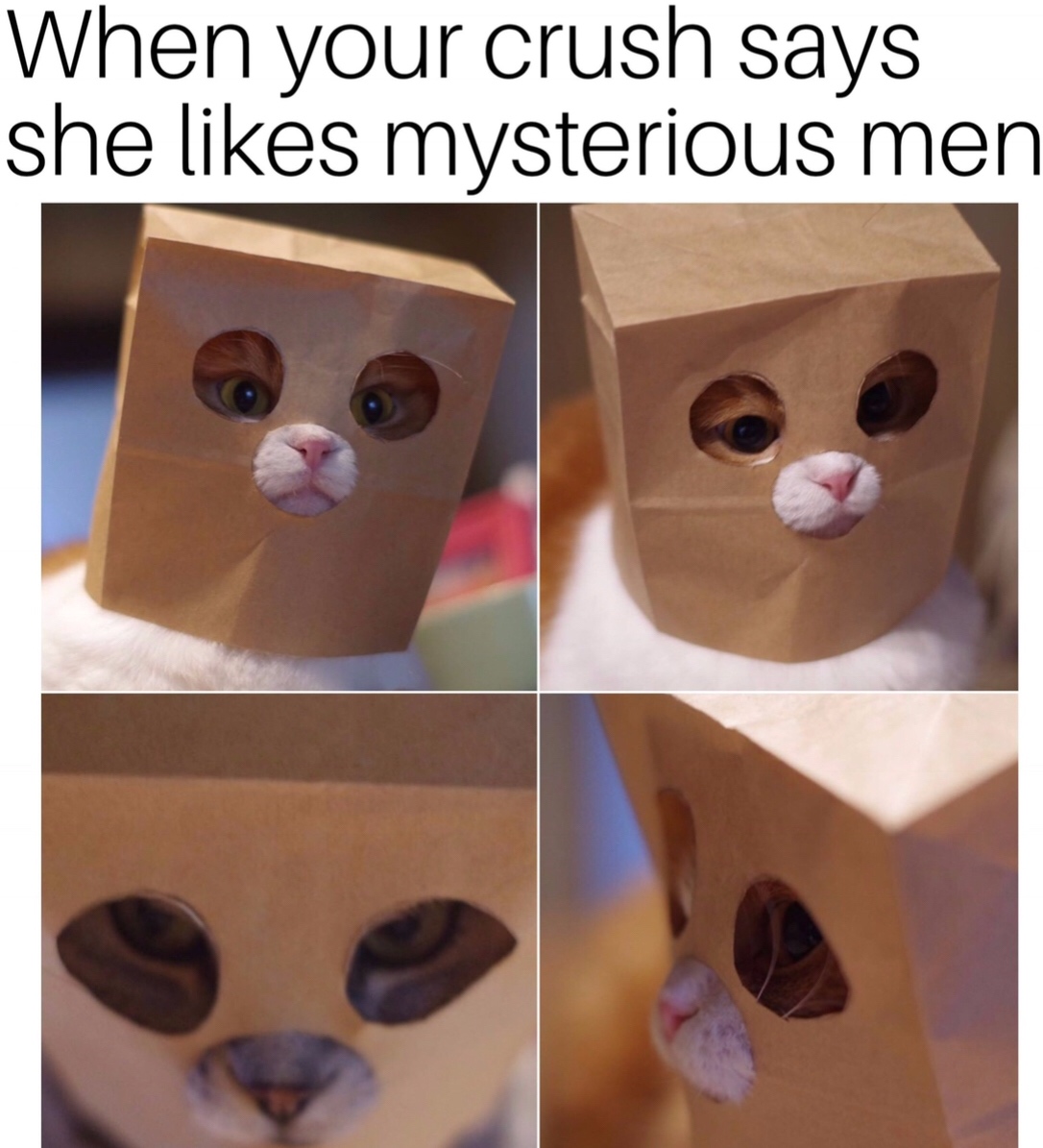memes - no one cared who i was until - When your crush says she mysterious men