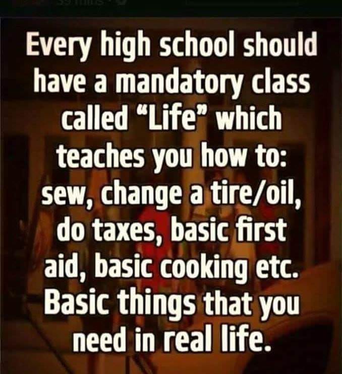 memes  - john mcwhorter - Every high school should have a mandatory class called Life which teaches you how to sew, change a tireoil, do taxes, basic first aid, basic cooking etc. Basic things that you need in real life.