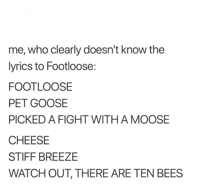 memes  - footloose meme lyrics - me, who clearly doesn't know the lyrics to Footloose Footloose Pet Goose Picked A Fight With A Moose Cheese Stiff Breeze Watch Out, There Are Ten Bees