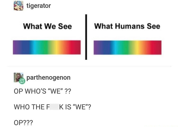 memes  - diagram - tigerator What We See What Humans See parthenogenon Op Who'S "We" ?? Who Thef Kis "We? Op???