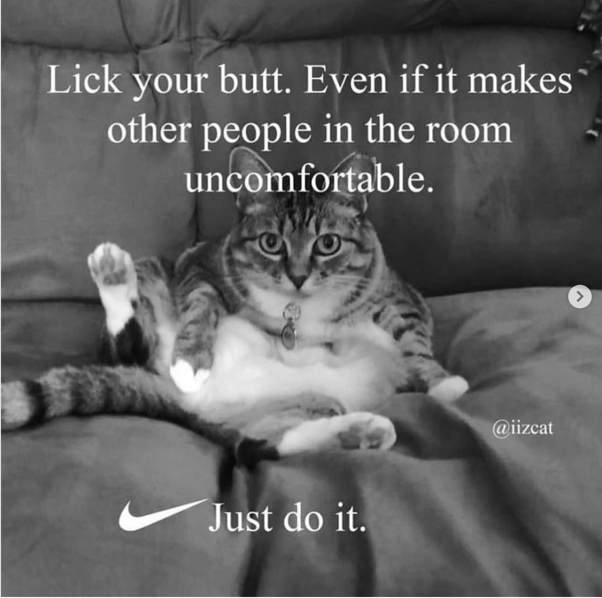memes  - quotes - Lick your butt. Even if it makes other people in the room uncomfortable. Just do it.