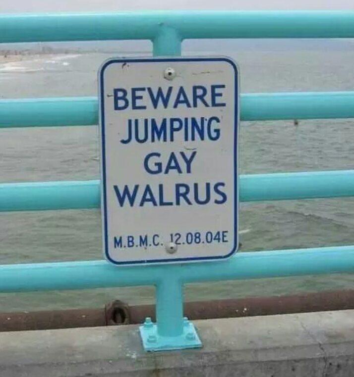 memes  - gay walrus - Beware Jumping Gay Walrus M.B.M.C. 12.08.04E