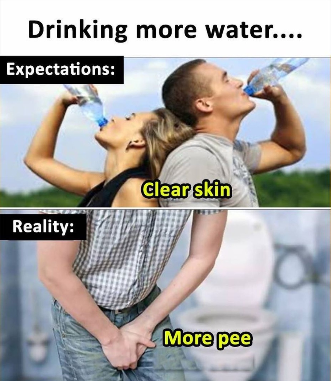 memes - sarcasm meme - Drinking more water.... Expectations Clear skin Reality More pee
