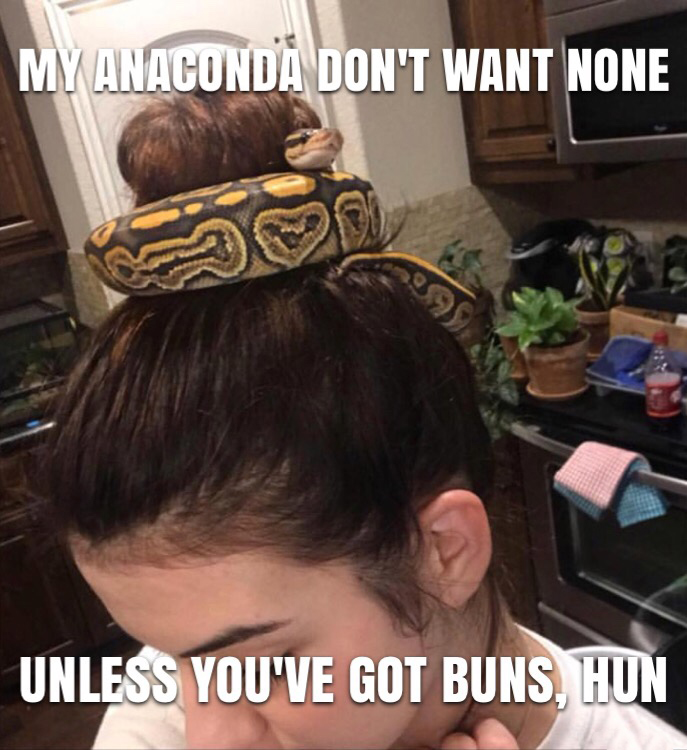 memes - My Anaconda Don'T Want None Unless You'Ve Got Buns, Hun