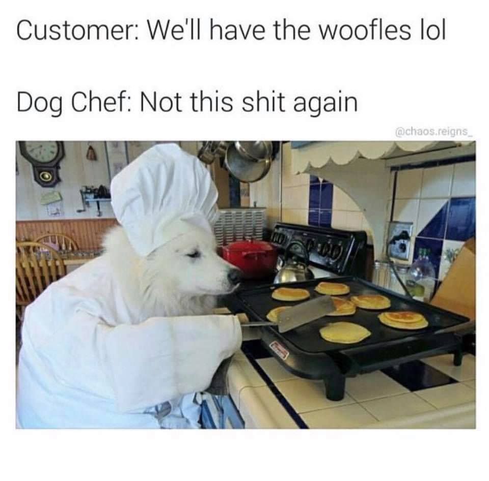 memes - ll have the woofles - Customer We'll have the woofles lol Dog Chef Not this shit again .reigns