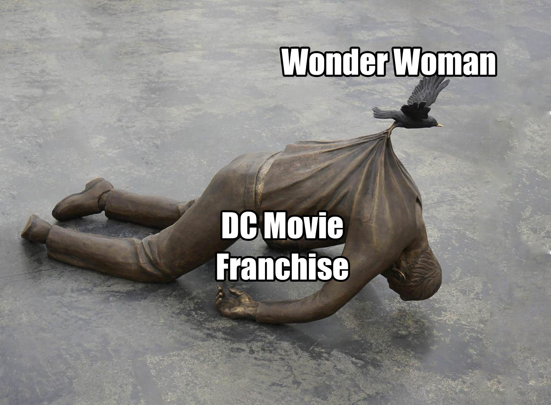 label memes - Wonder Woman Dc Movie Franchise