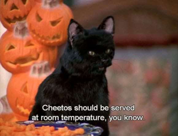 salem cat halloween - Cheetos should be served at room temperature, you know.