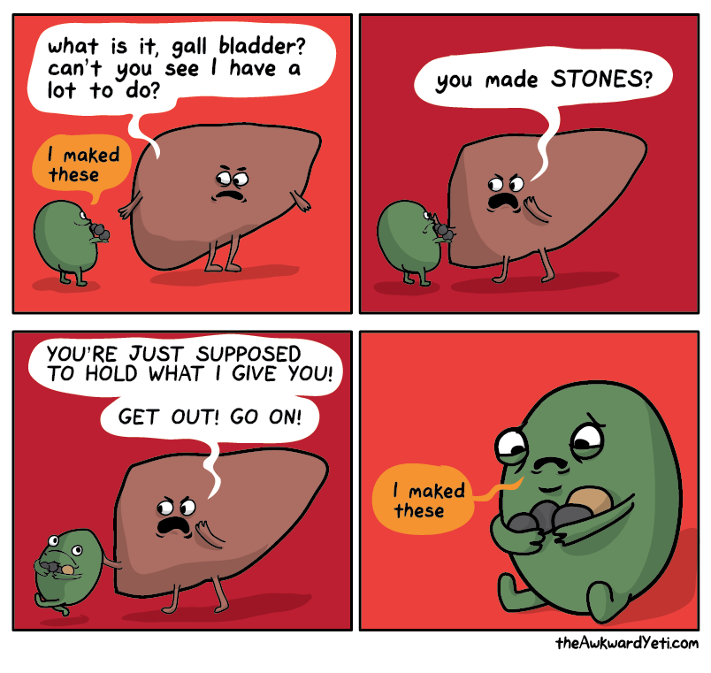 liver funny - what is it, gall bladder? can't you see I have a lot to do? you made Stones? I maked these You'Re Just Supposed To Hold What I Give You! Get Out! Go On! I maked these the Awkwardyeti.com