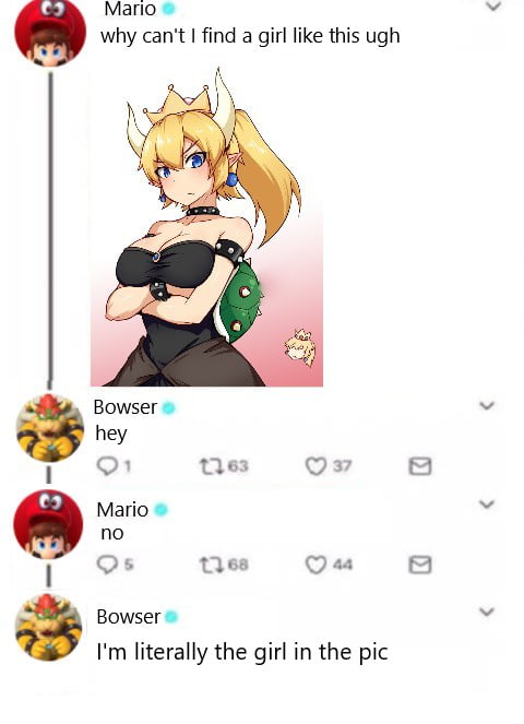mario memes - Mario why can't I find a girl this ugh Bowser hey heyser 01 763 037 Mario no 25 768 44 Bowser I'm literally the girl in the pic