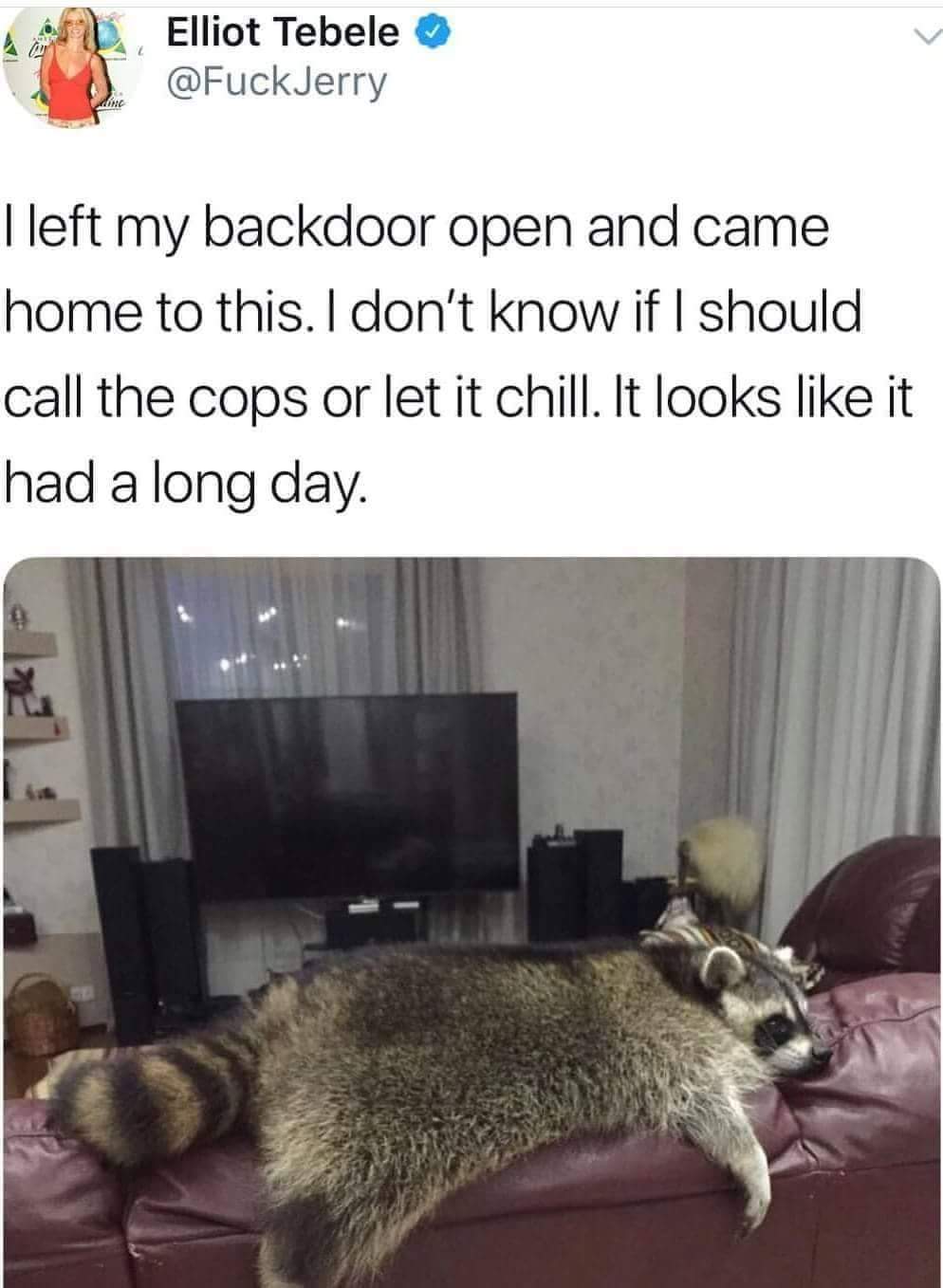 memes - trash panda meme - Elliot Tebele Jerry I left my backdoor open and came home to this. I don't know if I should call the cops or let it chill. It looks it had a long day.