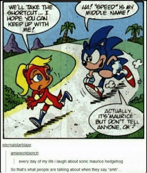 memes - sonic maurice hedgehog - " Midde Name! We'Ll Take The Shortcut...I Hope You Can Keep Up With Me! Actually It'S Maurice But Don'T Tell Anyone, Ok 2 eternalstarblaze ameworkbench every day of my life I laugh about sonic maurice hedgehog So that's wh