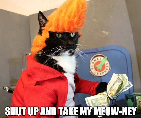 memes - shut up and take my money cat - Shut Up And Take My MeowNey