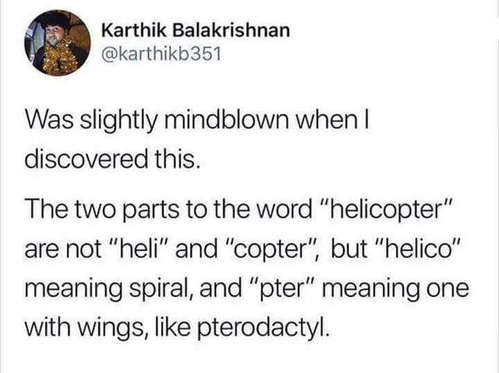 memes - document - Karthik Balakrishnan Was slightly mindblown when I discovered this. The two parts to the word "helicopter" are not "heli" and "copter", but "helico" meaning spiral, and "pter" meaning one with wings, pterodactyl.