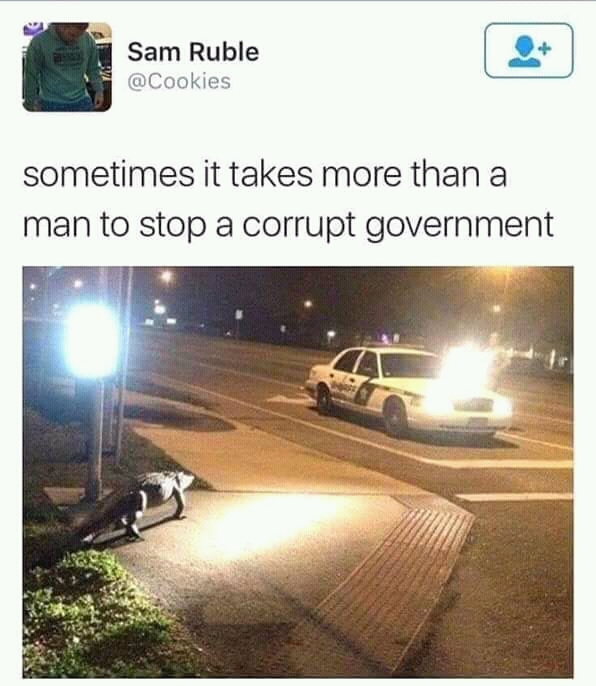 memes - scp has breached containment - Sam Ruble sometimes it takes more than a man to stop a corrupt government