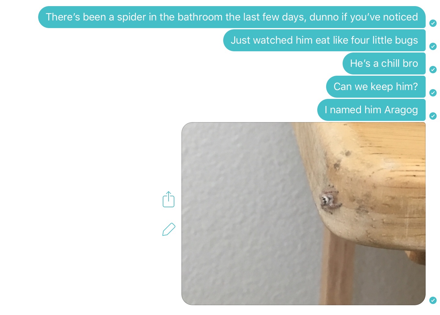 memes - wood - There's been a spider in the bathroom the last few days, dunno if you've noticed Just watched him eat four little bugs He's a chill bro Can we keep him? I named him Aragog