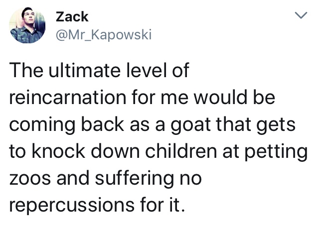 memes - document - Zack The ultimate level of reincarnation for me would be coming back as a goat that gets to knock down children at petting zoos and suffering no repercussions for it.