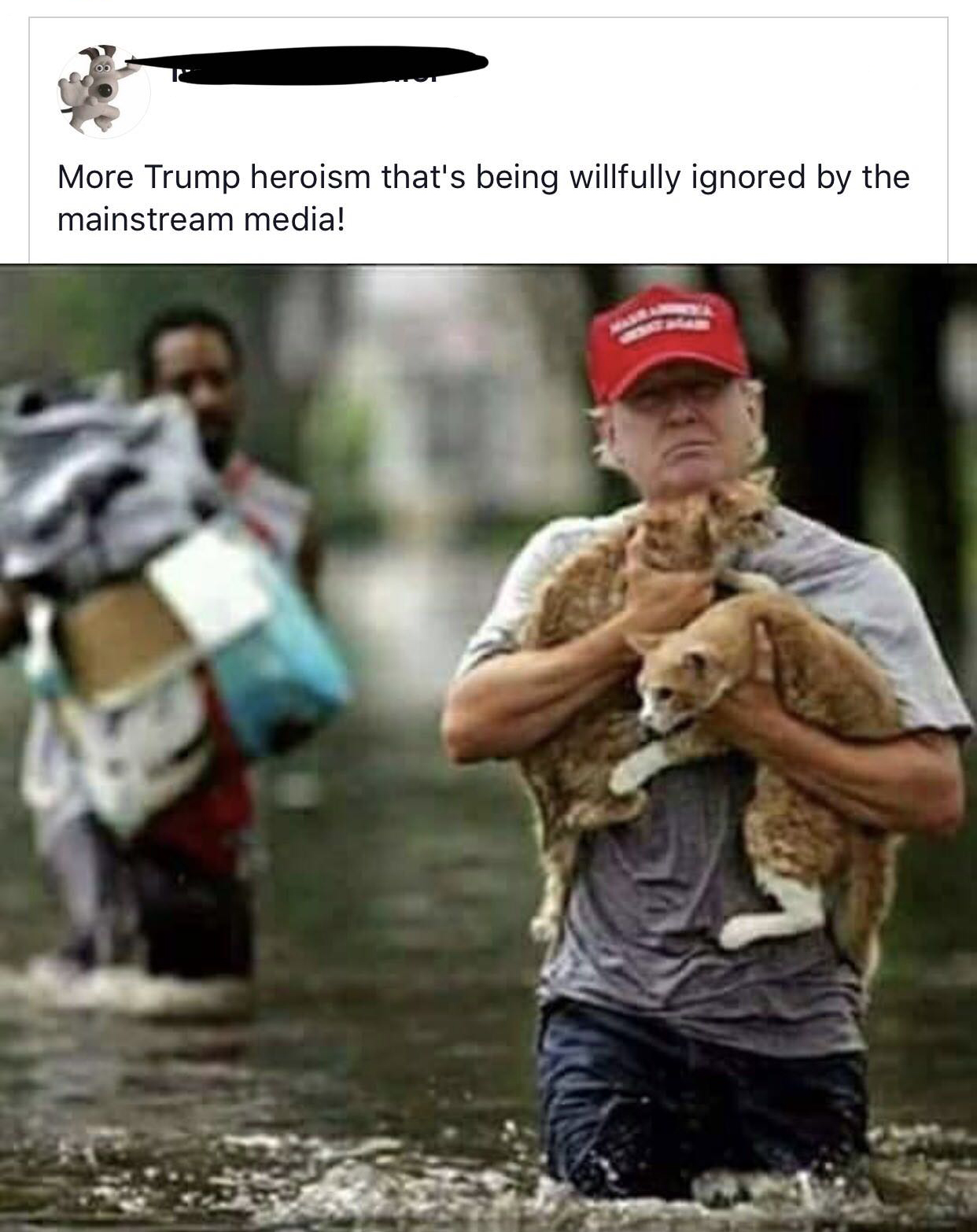 trump rescuing cats - More Trump heroism that's being willfully ignored by the mainstream media!