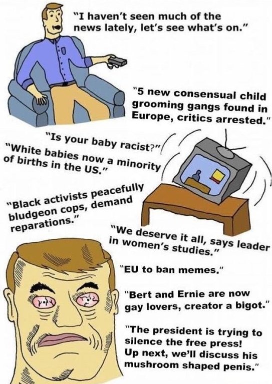 turn off tv meme - "I haven't seen much of the news lately, let's see what's on." "5 new consensual child grooming gangs found in Europe, critics arrested." "Is your baby racist? "White babies now a minority of births in the Us." "Black activists peaceful