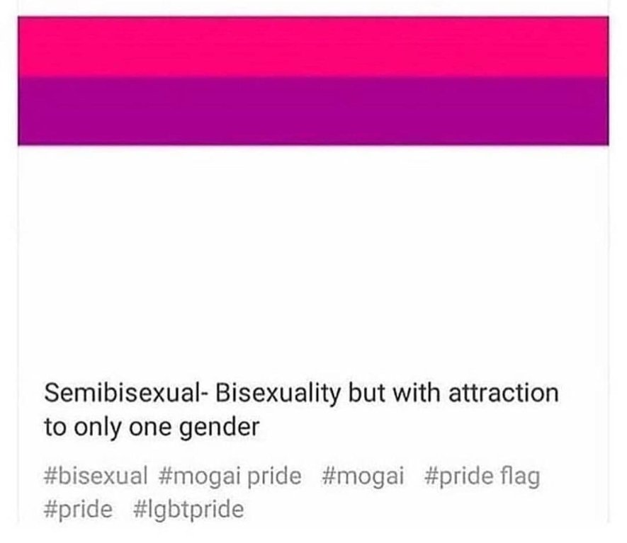 document - Semibisexual Bisexuality but with attraction to only one gender pride flag