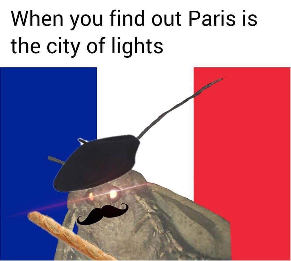 French flag meme find out paris is the city - When you find out Paris is the city of lights