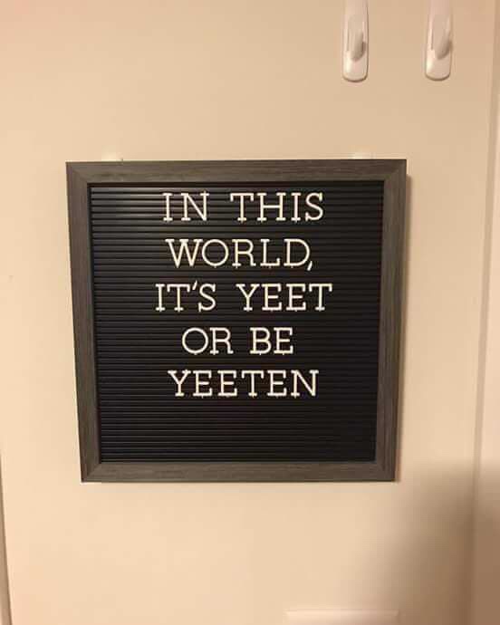 In This World, It'S Yeet Or Be Yeeten
