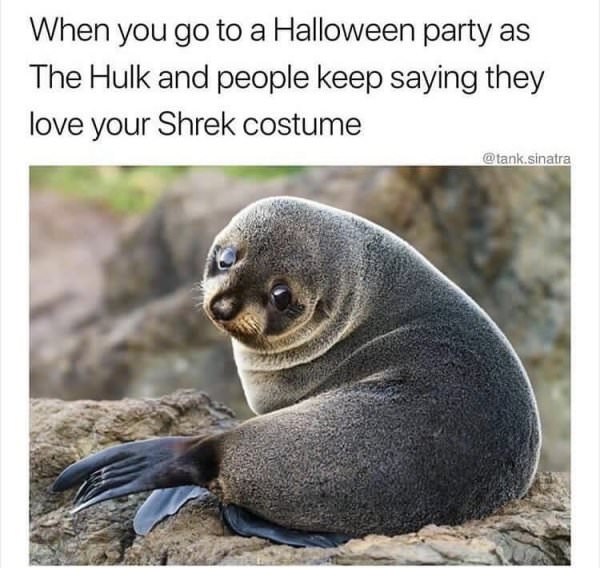 cute seal - When you go to a Halloween party as The Hulk and people keep saying they love your Shrek costume .sinatra