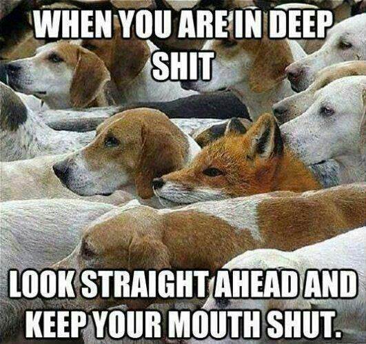 you are in deep shit - When You Are In Deep Shit Look Straight Ahead And Keep Your Mouth Shut.