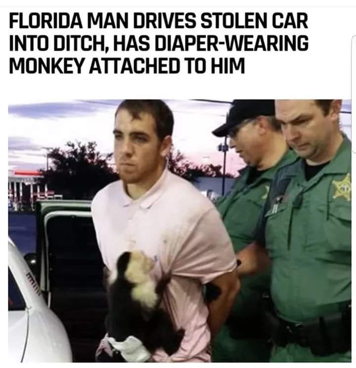 pet small monkey - Florida Man Drives Stolen Car Into Ditch, Has DiaperWearing Monkey Attached To Him