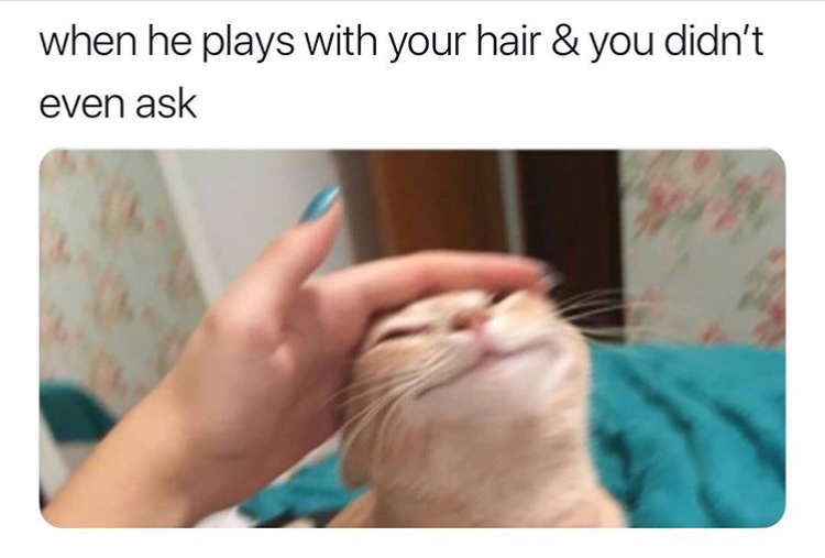 someone plays with your hair meme - when he plays with your hair & you didn't even ask