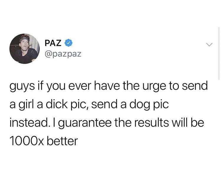 uber be having you outside looking like - Paz guys if you ever have the urge to send a girl a dick pic, send a dog pic instead. I guarantee the results will be 1000x better
