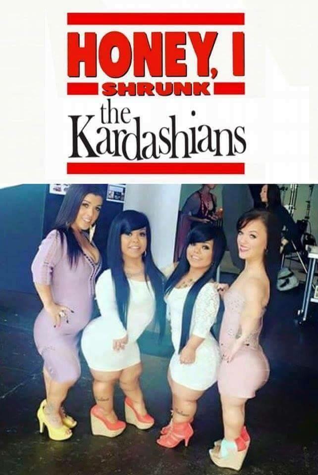 keeping up with the kardashians - Honeyi Kardashians 1SHRUNK