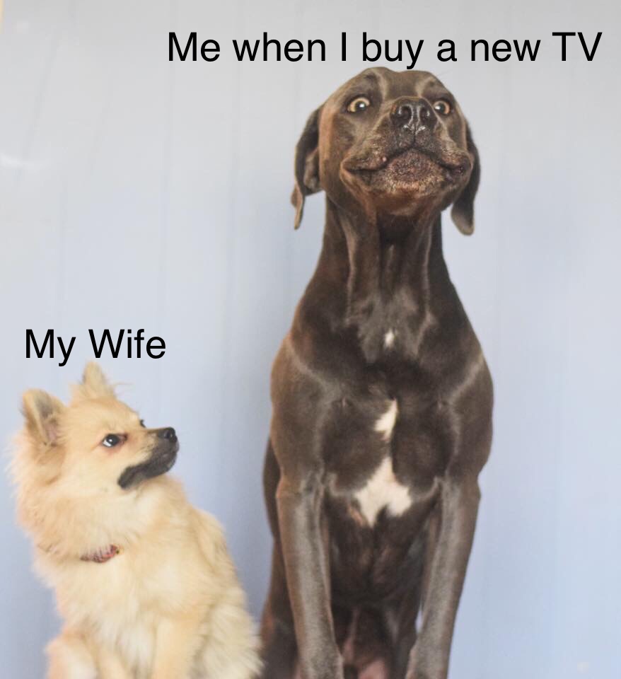 anxiety dog meme - Me when I buy a new Tv My Wife
