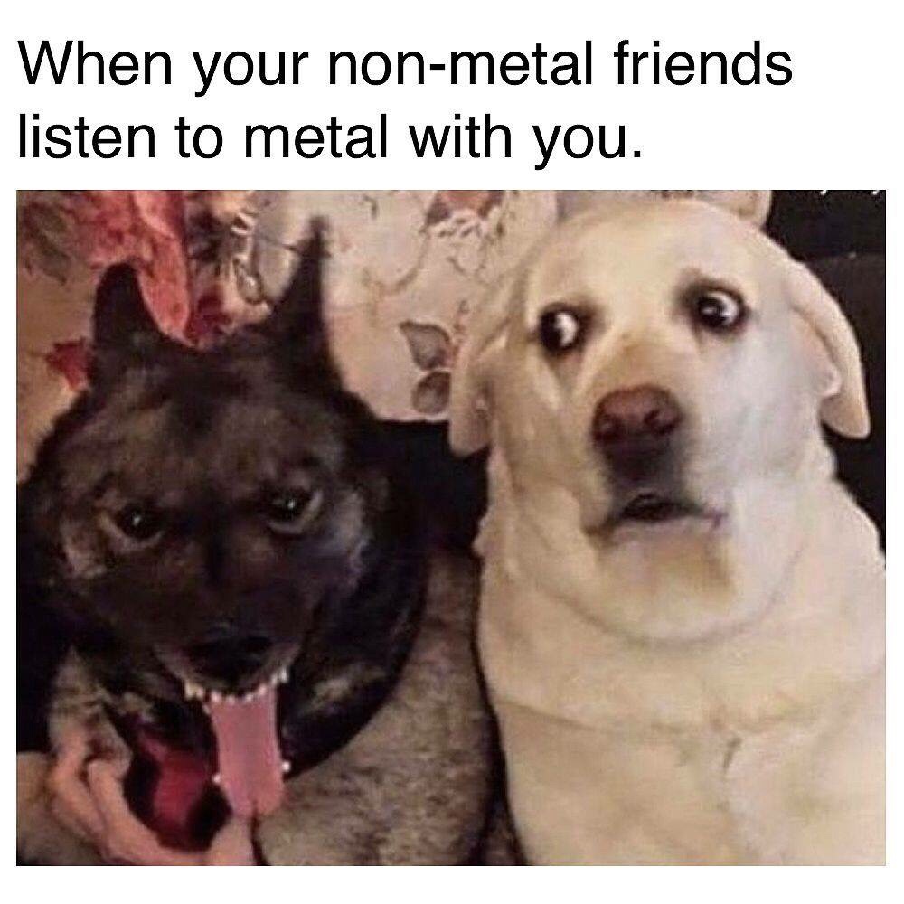 your non metal friends listen to metal - When your nonmetal friends listen to metal with you.