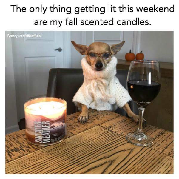 only thing getting lit this weekend - The only thing getting lit this weekend are my fall scented candles. Emarykatelallisofficial Swealo Weather