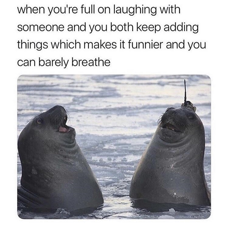 you re full on laughing - when you're full on laughing with someone and you both keep adding things which makes it funnier and you can barely breathe