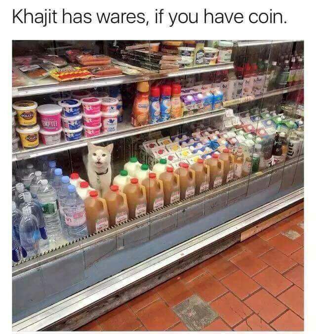 cat has wares if you have coin - Khajit has wares, if you have coin. Un 4 ||