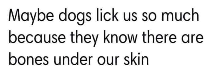 nemo pick up line - Maybe dogs lick us so much because they know there are bones under our skin