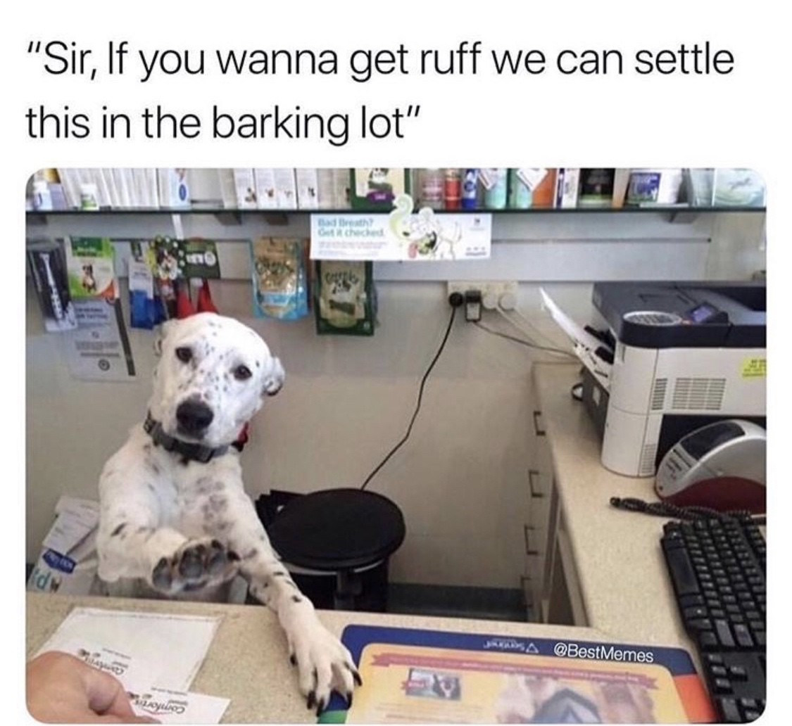 sir if you wanna get ruff - "Sir, If you wanna get ruff we can settle this in the barking lot"