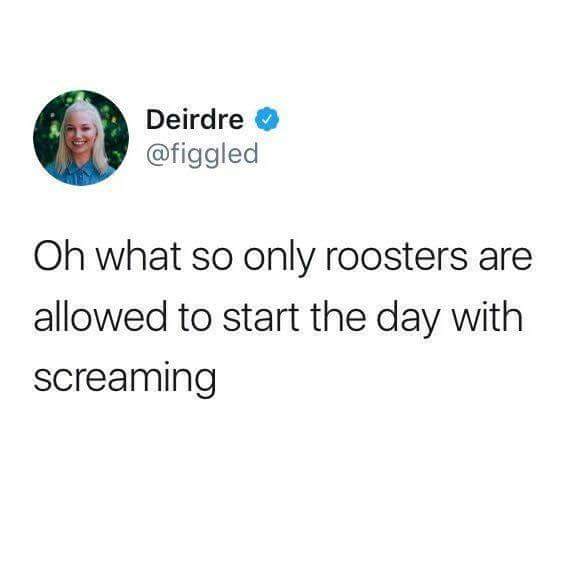 tattoos you wouldn t put stickers - Deirdre Oh what so only roosters are allowed to start the day with screaming