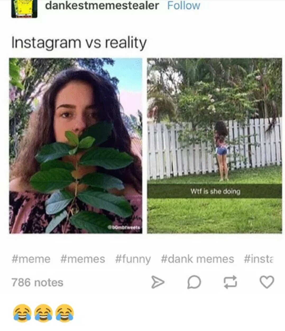 instagram vs reality meme - dankestmemestealer Instagram vs reality wtf is she doing bombtweets memes 786 notes
