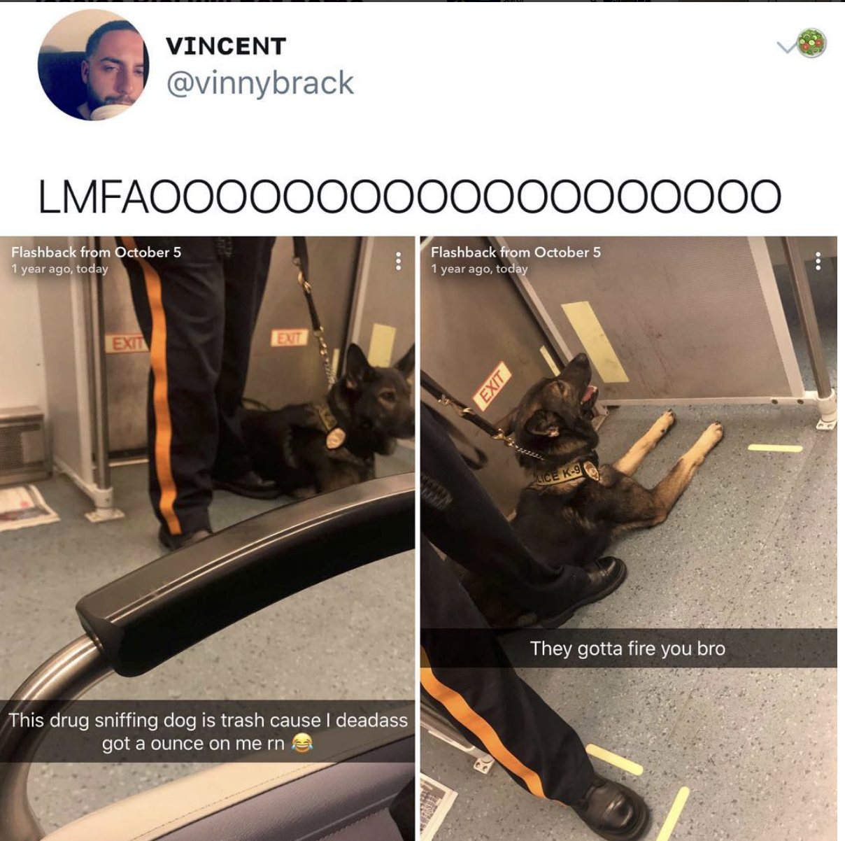 ain t no snitch dog - Vincent LMFAO000000000000000000 Flashback from October 5 1 year ago today Flashback from October 5 1 year ago, toda They gotta fire you bro This drug sniffing dog is trash cause I deadass got a ounce on me in