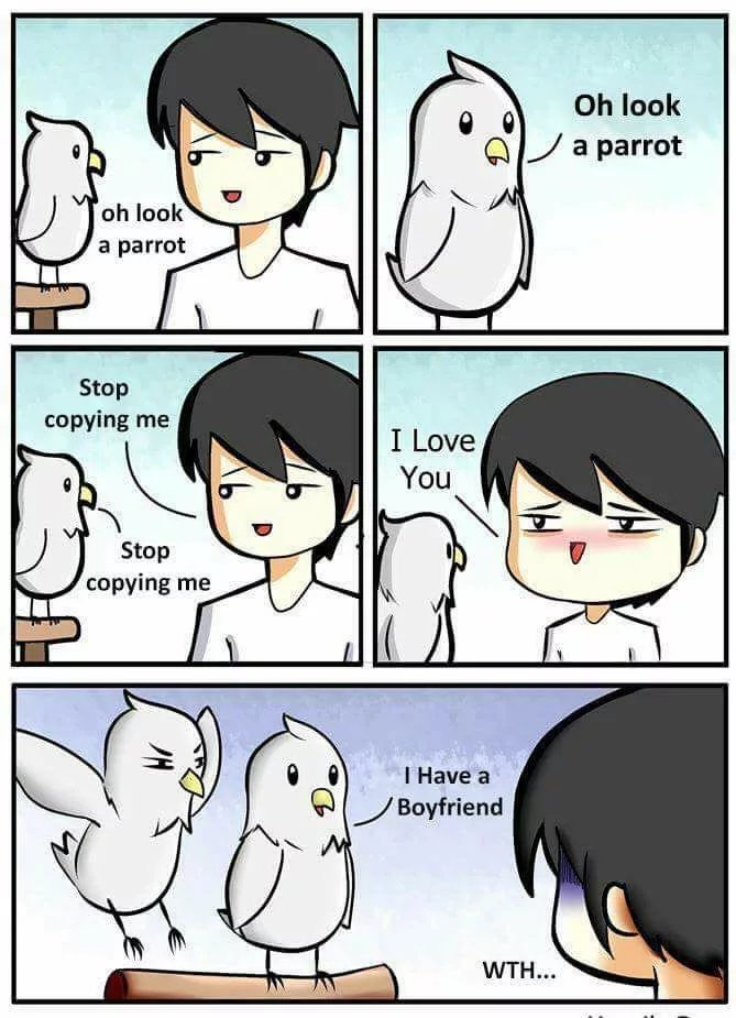 oh look a parrot meme - Oh look 01a parrot oh look a parrot Stop copying me I Love You Stop copying me I Have a Boyfriend Wth...
