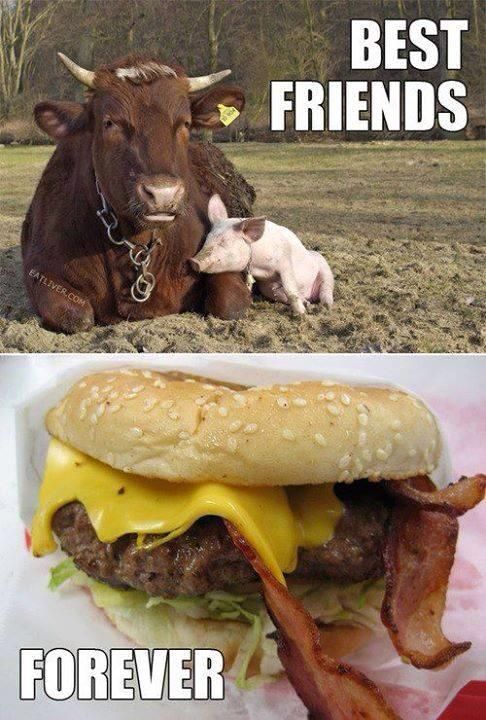 cow pig best friends - Best ~ Friends Eatliver.Com Forever