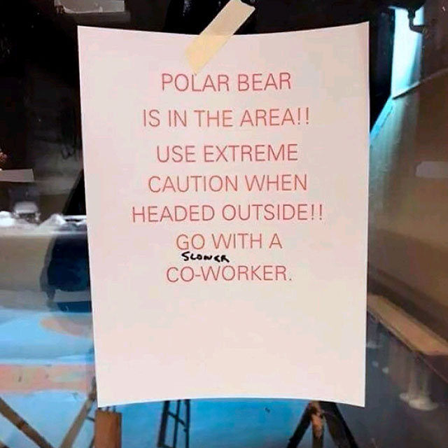 prudhoe bay meme - Polar Bear Is In The Area!! Use Extreme Caution When Headed Outside!! Go With A Slonca CoWorker