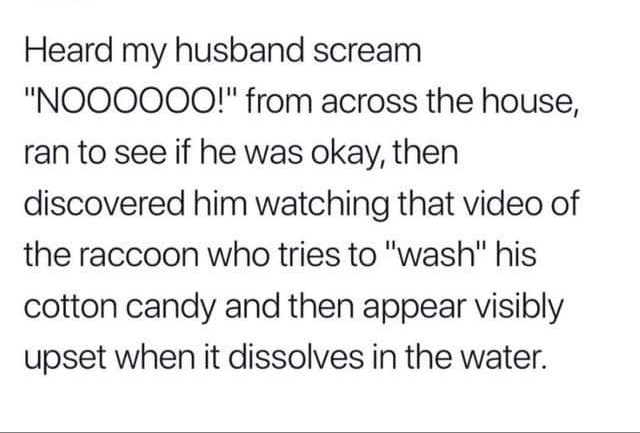 work meme about husband reacting dramatically to sad raccoon video
