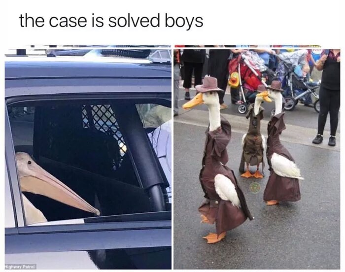 work meme about detective geese arresting a pelican