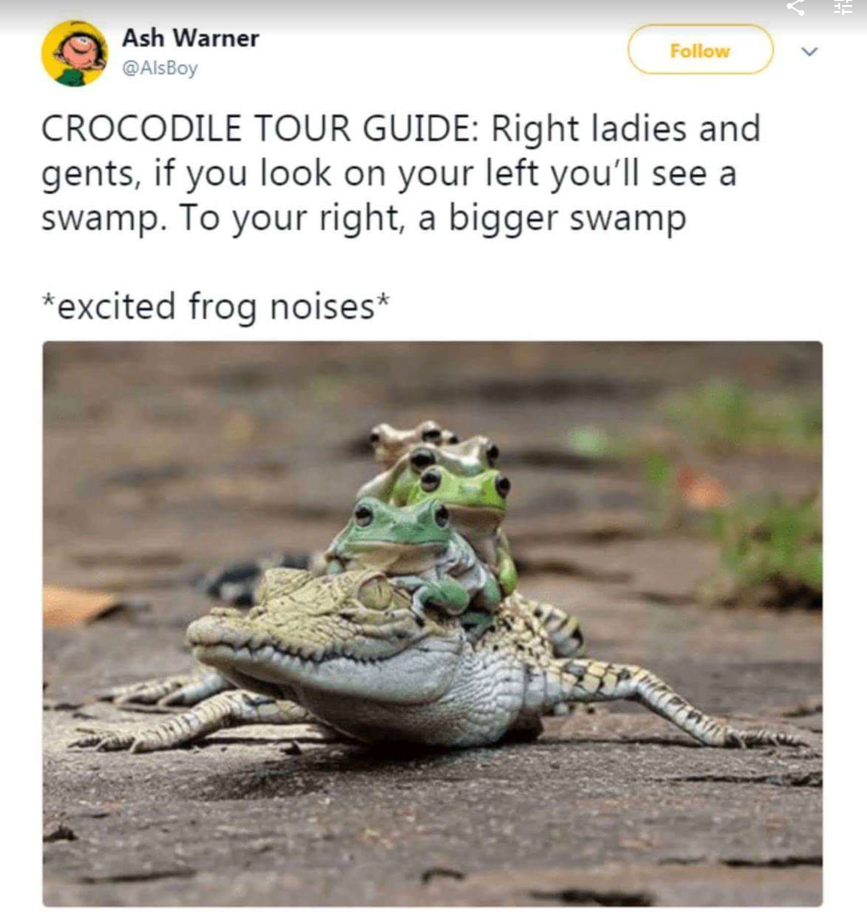work meme with a crocodile giving frogs a ride on its back